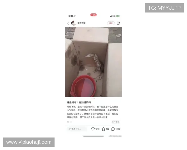 云顶老虎机有几个网站的用户评价与平台信誉度分析报告 云顶老虎机有几个网站的用户评价与平台信誉度分析报告